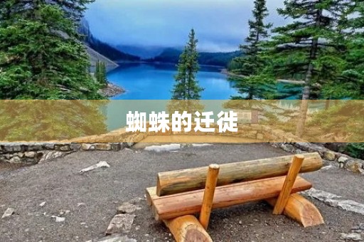 蜘蛛的迁徙 蜘蛛的迁徙