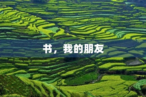 书,我的朋友 书,我的朋友