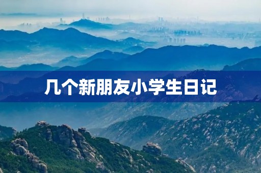 几个新朋友小学生日记 几个新朋友小学生日记