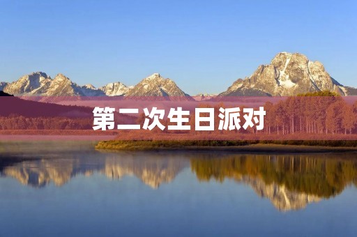 第二次生日派对 第二次生日派对