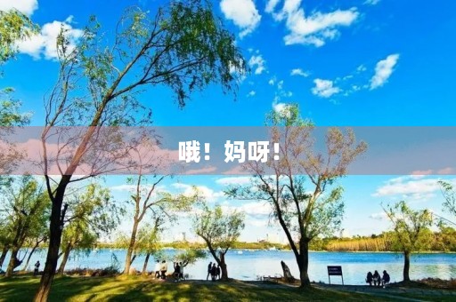 哦!妈呀! 哦!妈呀!