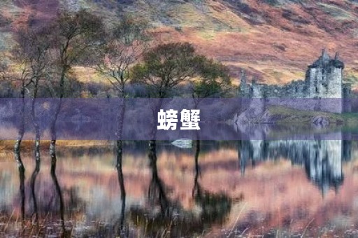 螃蟹 螃蟹