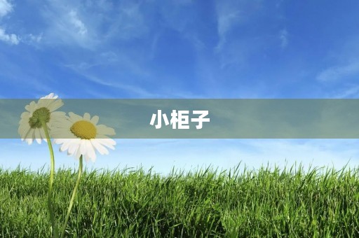 小柜子 小柜子