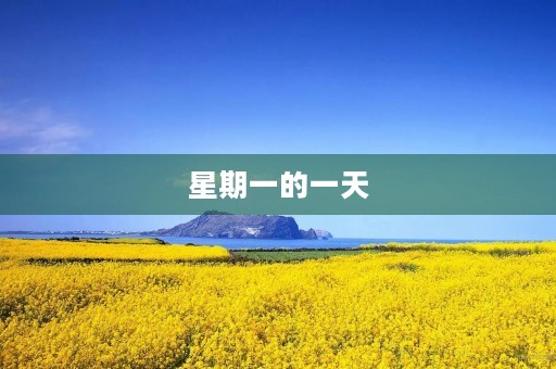 星期一的一天 星期一的一天