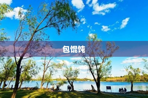 包馄饨 包馄饨