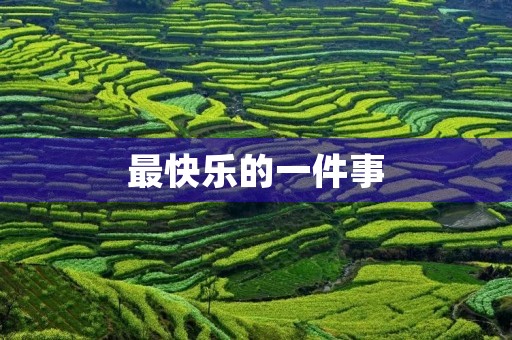 最快乐的一件事 最快乐的一件事