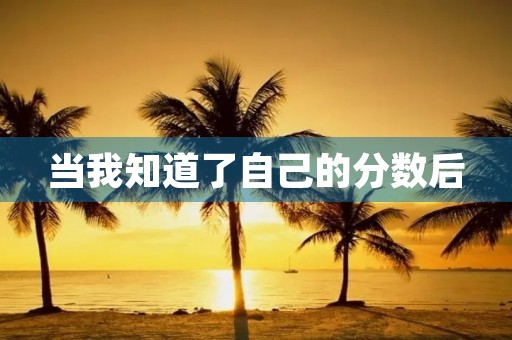 当我知道了自己的分数后 当我知道了自己的分数后