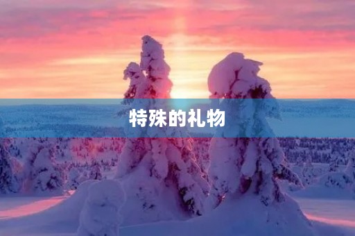 特殊的礼物 特殊的礼物