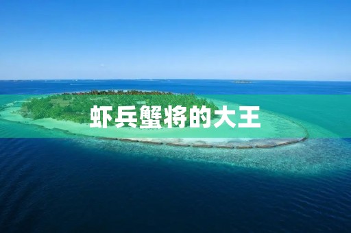 虾兵蟹将的大王