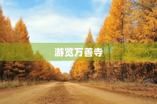 游览万善寺 游览万善寺