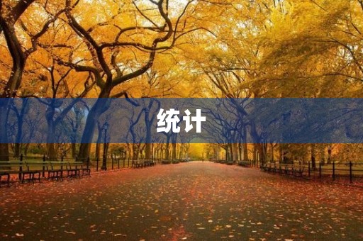 统计