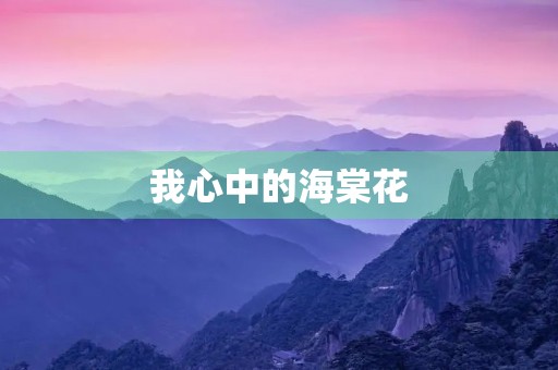 我心中的海棠花 我心中的海棠花