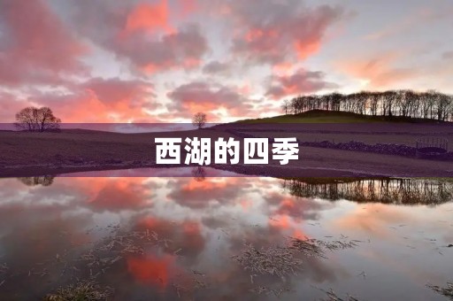 西湖的四季 西湖的四季