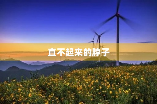 直不起来的脖子 直不起来的脖子