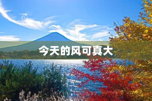 今天的风可真大 今天的风可真大