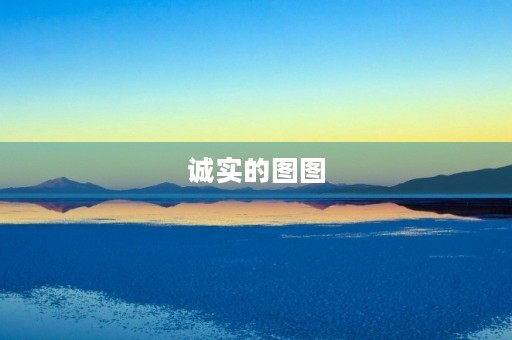 诚实的图图 诚实的图图
