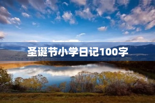 圣诞节小学日记100字 圣诞节小学日记100字