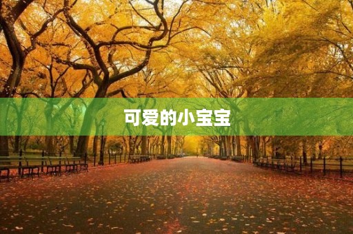 可爱的小宝宝