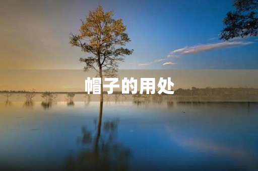 帽子的用处 帽子的用处