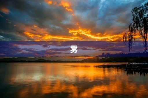 雾 雾