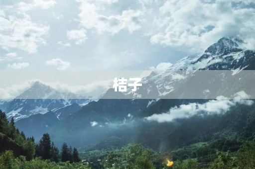 桔子 桔子