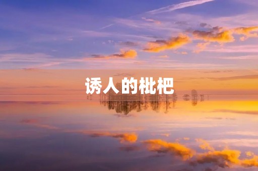 诱人的枇杷 诱人的枇杷