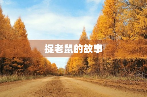 捉老鼠的故事 捉老鼠的故事