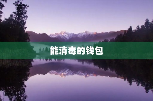能消毒的钱包 能消毒的钱包