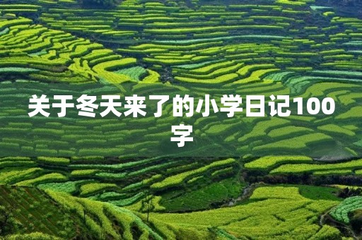 关于冬天来了的小学日记100字 关于冬天来了的小学日记100字