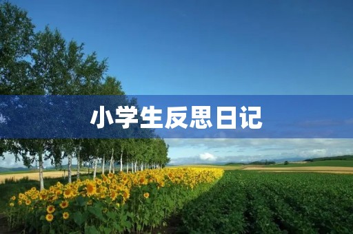小学生反思日记