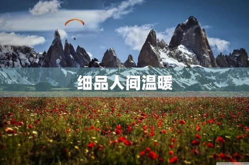 细品人间温暖 细品人间温暖