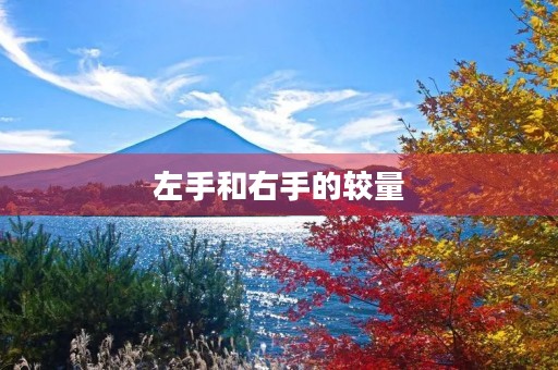 左手和右手的较量 左手和右手的较量