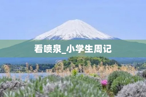 看喷泉_小学生周记