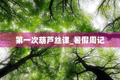 第一次葫芦丝课_暑假周记 第一次葫芦丝课_暑假周记