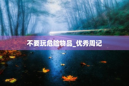 不要玩危险物品_优秀周记 不要玩危险物品_优秀周记