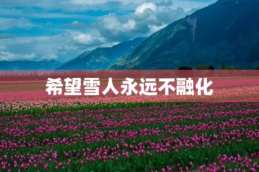希望雪人永远不融化 希望雪人永远不融化