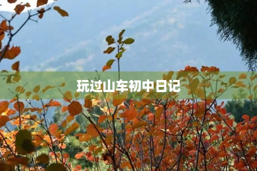 玩过山车初中日记 玩过山车初中日记