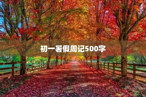 初一暑假周记500字 初一暑假周记500字