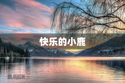 快乐的小鹿