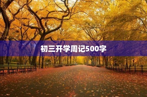初三开学周记500字