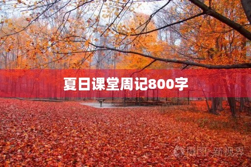 夏日课堂周记800字
