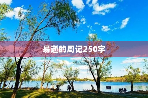 易逝的周记250字 易逝的周记250字