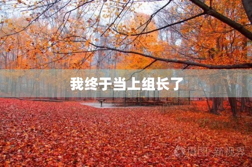 我终于当上组长了