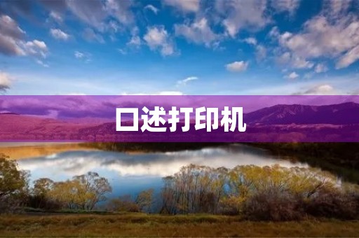 口述打印机 口述打印机