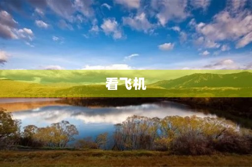 看飞机 看飞机