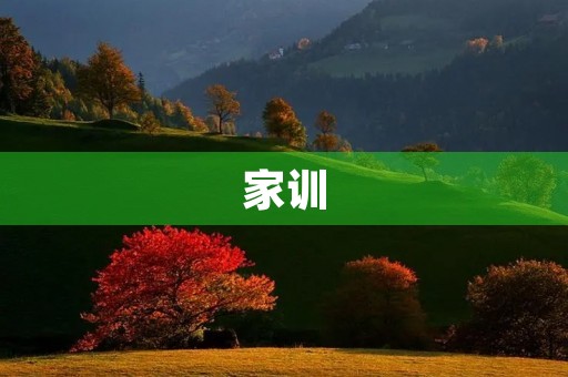 家训 家训