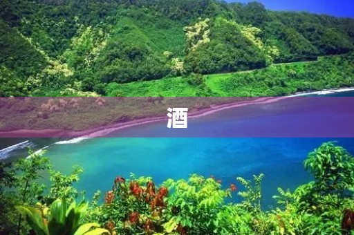 酒
