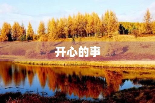 开心的事 开心的事