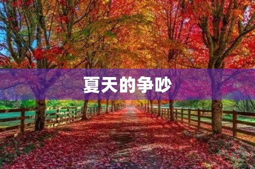 夏天的争吵
