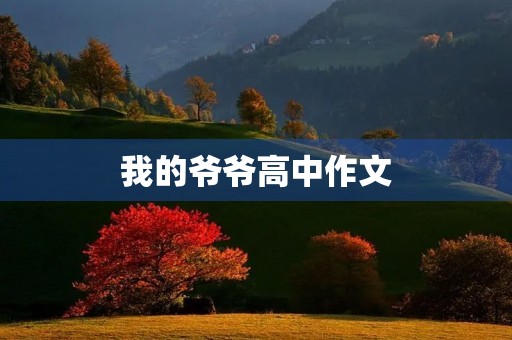 我的爷爷高中作文 我的爷爷高中作文